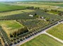 8 acre pasture, 15 acres of Olives