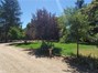 View down driveway with grass and flowering trees on the right.