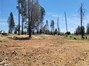 Level .23 Acre Lot to BUILD A WONDERFUL DREAM HOME. Located Close to Golf Course in Magalia.