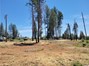 Level .23 Acre Lot to BUILD A WONDERFUL DREAM HOME.