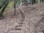 Stairs leading down to creek