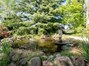Large Koi Pond in the inner gardens.