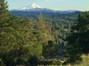 View of Shasta from Home