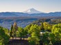 Mt Shasta View! PRIVACY! 192 + Acres